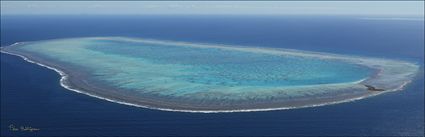 Wistari Reef - QLD (PBH4 00 18456)